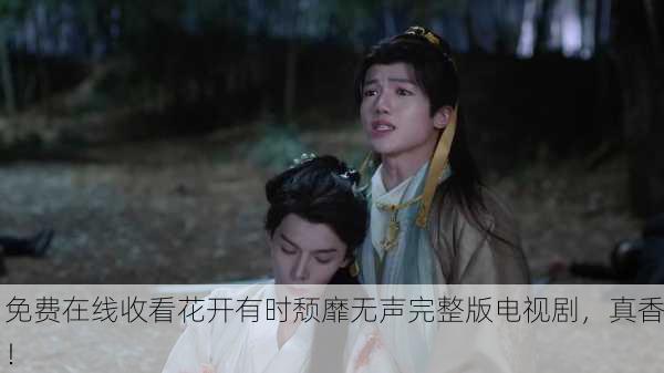 免费在线收看花开有时颓靡无声完整版电视剧，真香！