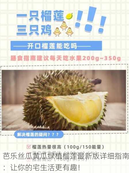 芭乐丝瓜黄瓜绿植榴莲最新版详细指南：让你的宅生活更有趣！