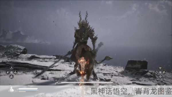 黑神话悟空，青背龙图鉴