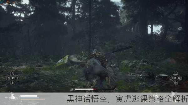 黑神话悟空，寅虎逃课策略全解析