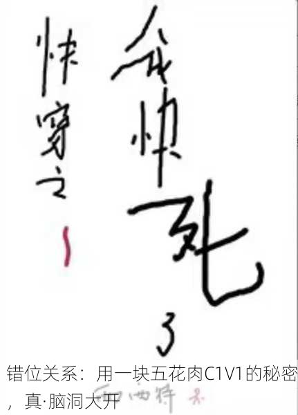 错位关系：用一块五花肉C1V1的秘密，真·脑洞大开