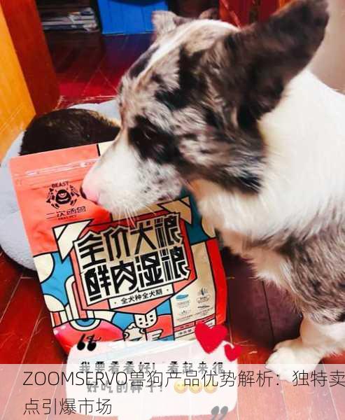 ZOOMSERVO兽狗产品优势解析：独特卖点引爆市场