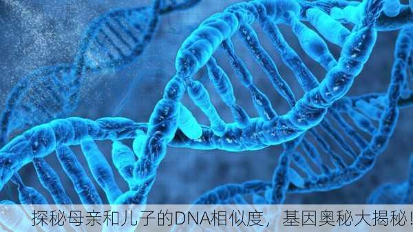 探秘母亲和儿子的DNA相似度，基因奥秘大揭秘！