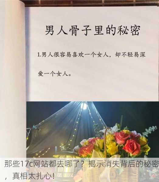 那些17c网站都去哪了？揭示消失背后的秘密，真相太扎心！