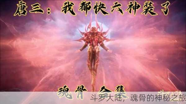 斗罗大陆，魂骨的神秘之旅