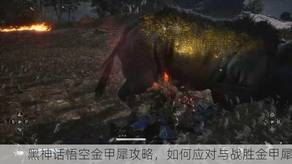 黑神话悟空金甲犀攻略，如何应对与战胜金甲犀