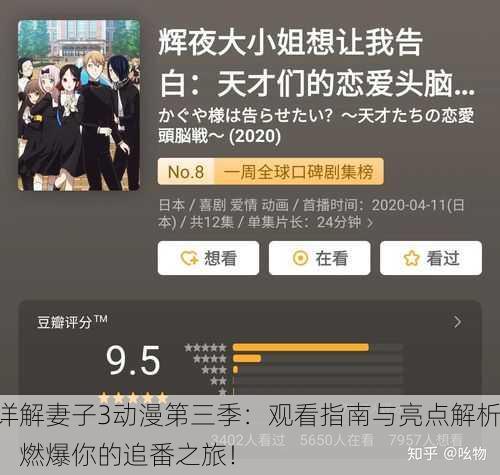 详解妻子3动漫第三季：观看指南与亮点解析，燃爆你的追番之旅！
