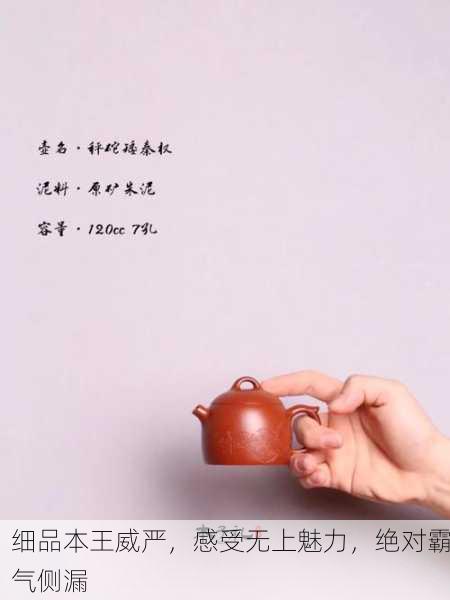 细品本王威严，感受无上魅力，绝对霸气侧漏
