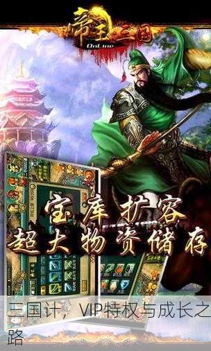 三国计，VIP特权与成长之路