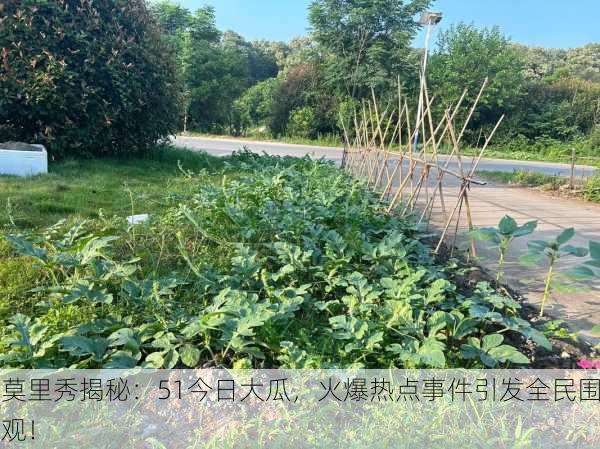 莫里秀揭秘：51今日大瓜，火爆热点事件引发全民围观！