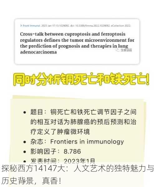探秘西方14147大：人文艺术的独特魅力与历史背景，真香！