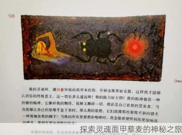 探索灵魂面甲藜麦的神秘之旅