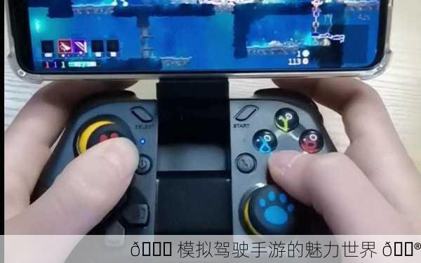 🚗 模拟驾驶手游的魅力世界 🎮