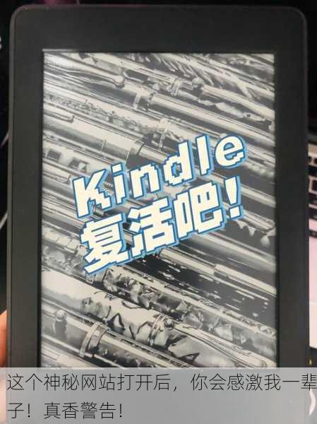 这个神秘网站打开后，你会感激我一辈子！真香警告！