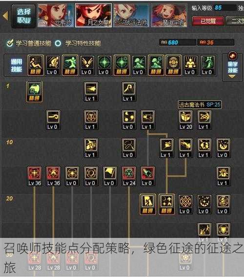 召唤师技能点分配策略，绿色征途的征途之旅