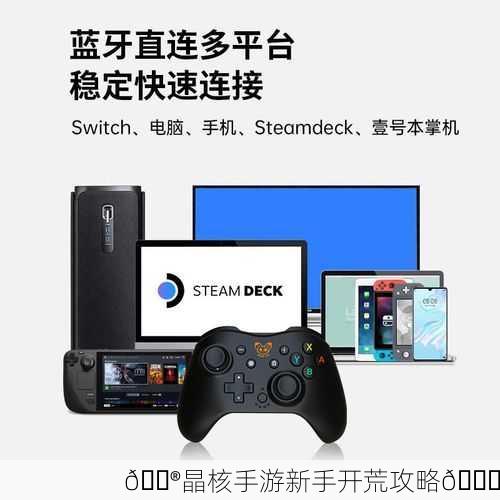 🎮晶核手游新手开荒攻略🎉