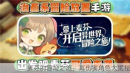 麦芬的冒险之旅，高伤害角色大揭秘
