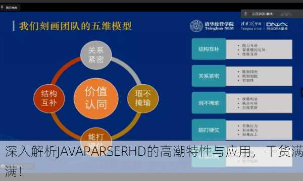 深入解析JAVAPARSERHD的高潮特性与应用，干货满满！