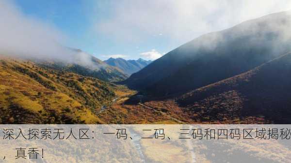 深入探索无人区：一码、二码、三码和四码区域揭秘，真香！