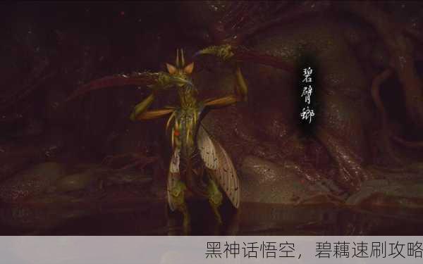 黑神话悟空，碧藕速刷攻略