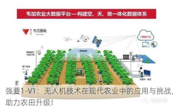 强要1-V1：无人机技术在现代农业中的应用与挑战，助力农田升级！