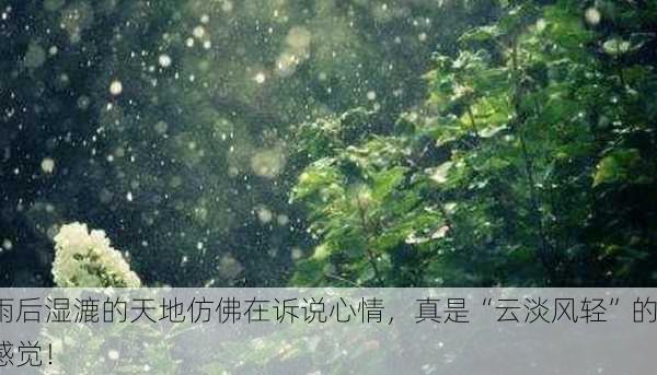雨后湿漉的天地仿佛在诉说心情，真是“云淡风轻”的感觉！