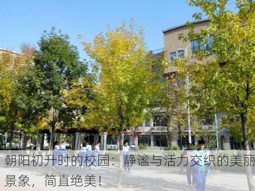 朝阳初升时的校园：静谧与活力交织的美丽景象，简直绝美！