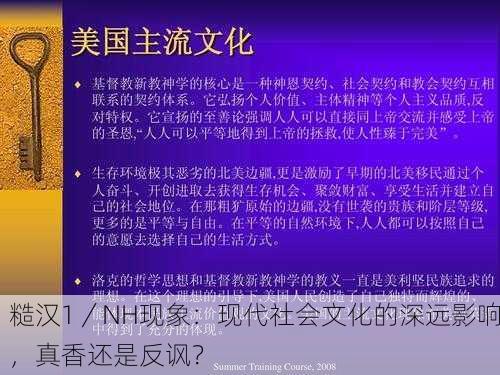 糙汉1／NH现象：现代社会文化的深远影响，真香还是反讽？