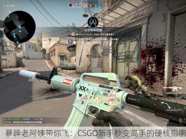 暴躁老阿姨带你飞：CSGO新手秒变高手的硬核指南