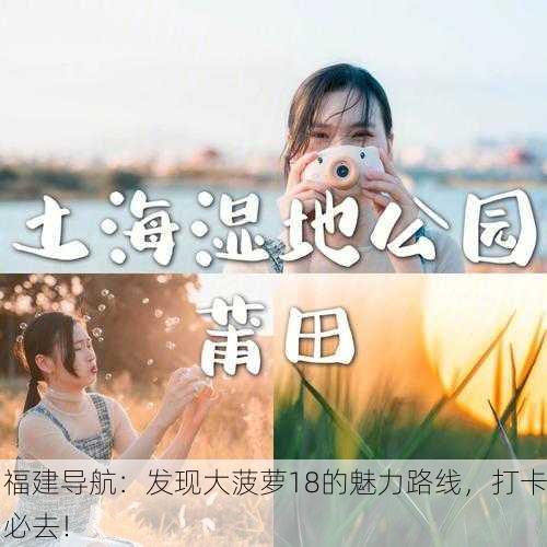福建导航：发现大菠萝18的魅力路线，打卡必去！