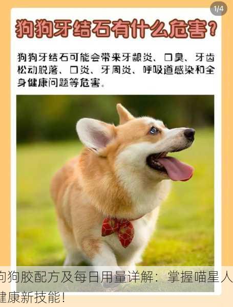 狗狗胶配方及每日用量详解：掌握喵星人健康新技能！