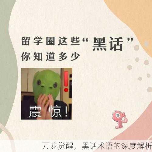万龙觉醒，黑话术语的深度解析