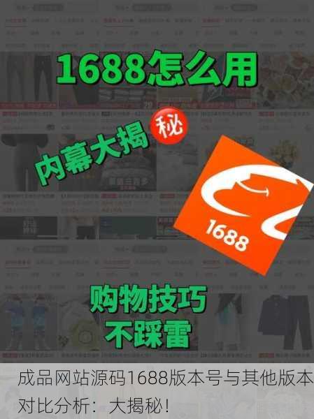 成品网站源码1688版本号与其他版本对比分析：大揭秘！