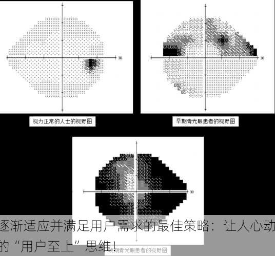 逐渐适应并满足用户需求的最佳策略：让人心动的“用户至上”思维！