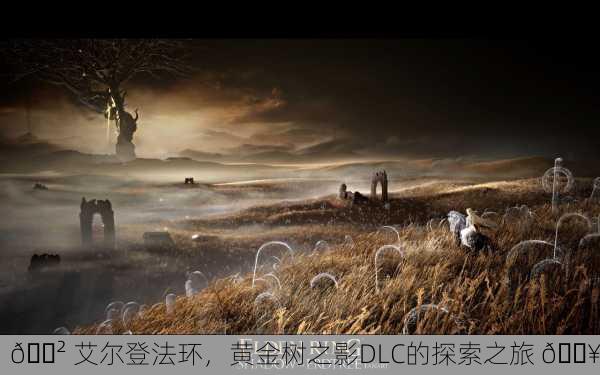 🌲 艾尔登法环，黄金树之影DLC的探索之旅 🔥