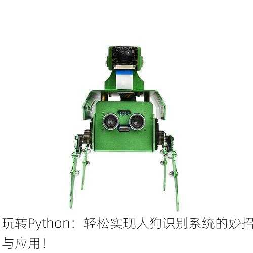 玩转Python：轻松实现人狗识别系统的妙招与应用！