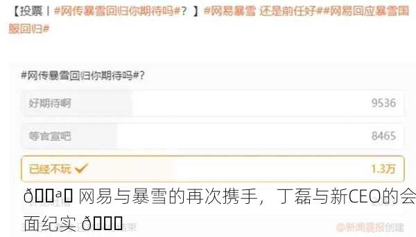 🌪️ 网易与暴雪的再次携手，丁磊与新CEO的会面纪实 👑