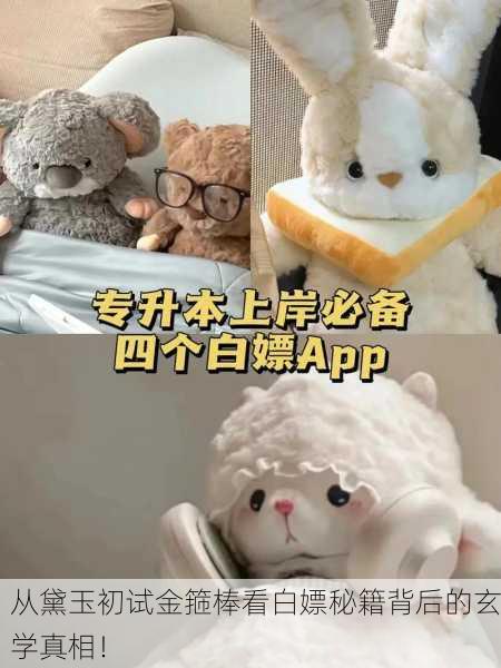 从黛玉初试金箍棒看白嫖秘籍背后的玄学真相！