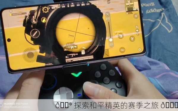 🎮 探索和平精英的赛季之旅 🎉