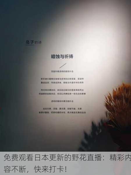 免费观看日本更新的野花直播：精彩内容不断，快来打卡！