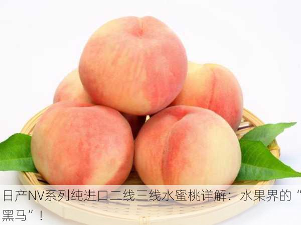 日产NV系列纯进口二线三线水蜜桃详解：水果界的“黑马”！
