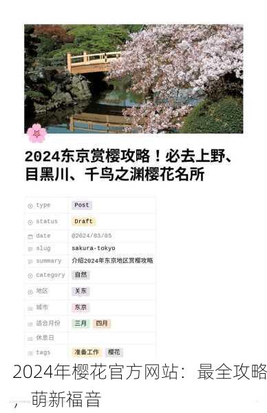 2024年樱花官方网站：最全攻略，萌新福音