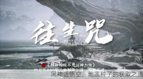 黑神话悟空，地莲种子的获取之道