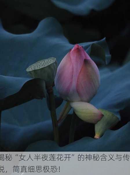 揭秘“女人半夜莲花开”的神秘含义与传说，简直细思极恐！