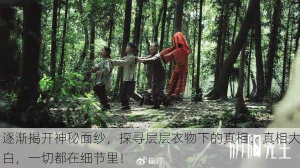 逐渐揭开神秘面纱，探寻层层衣物下的真相：真相大白，一切都在细节里！