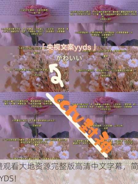 免费观看大地资源完整版高清中文字幕，简直YYDS！