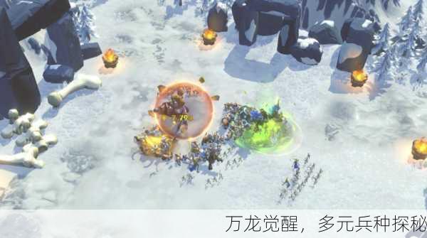 万龙觉醒，多元兵种探秘