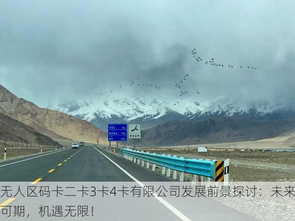无人区码卡二卡3卡4卡有限公司发展前景探讨：未来可期，机遇无限！