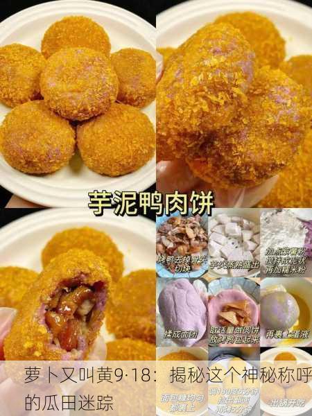 萝卜又叫黄9·18：揭秘这个神秘称呼的瓜田迷踪
