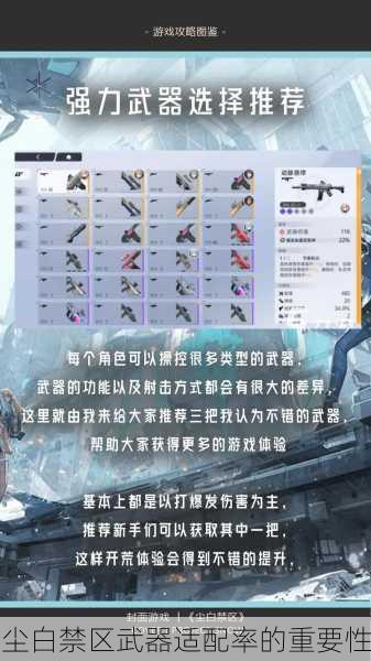 尘白禁区武器适配率的重要性